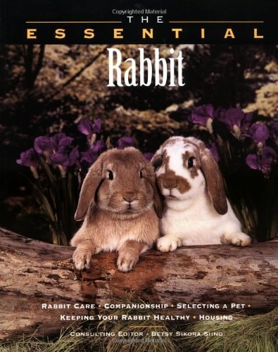 The Essential Rabbit