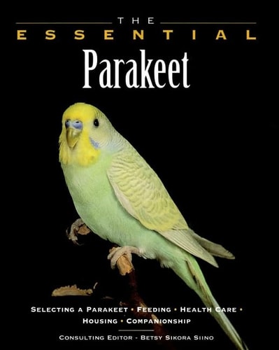 The Essential Parakeet