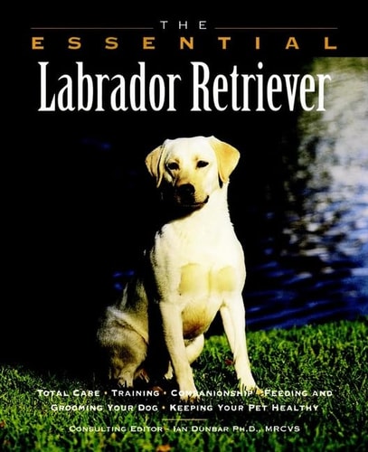 The Essential Labrador Retriever (The Essential Guides)