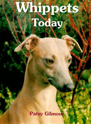 Whippets Today