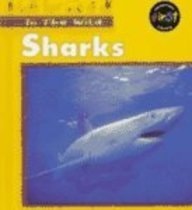 Sharks (In the Wild)