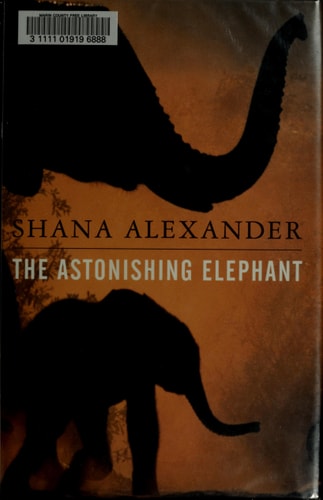 The Astonishing Elephant