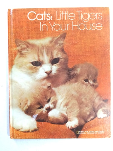 Cats: Little tigers in your house (Books for young explorers)