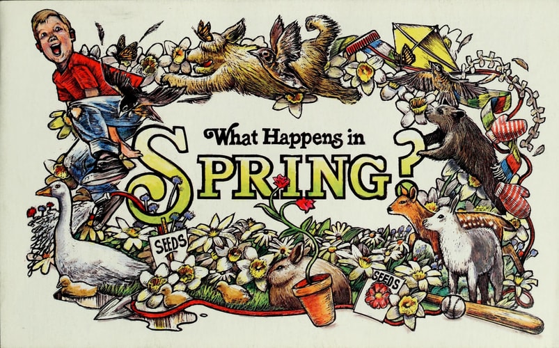 What happens in the spring (Books for young explorers)