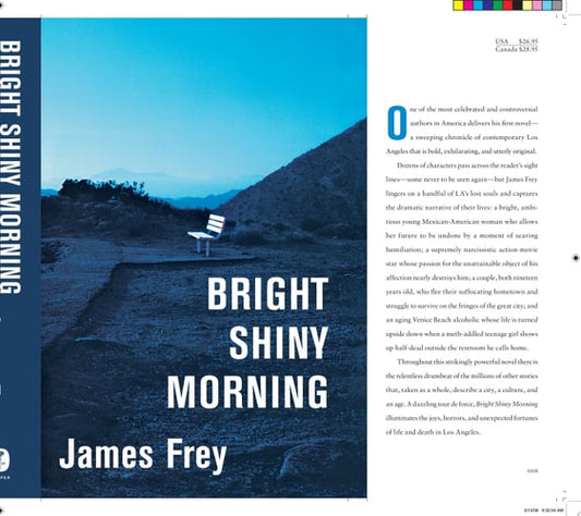 Bright Shiny Morning