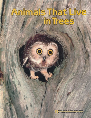 Animals That Live in Trees