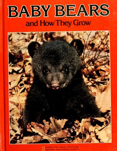 Baby Bears and How They Grow