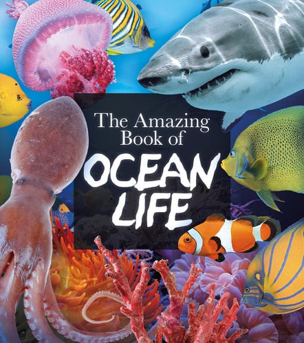The Amazing Book of Ocean Life (Amazing Books, 7)