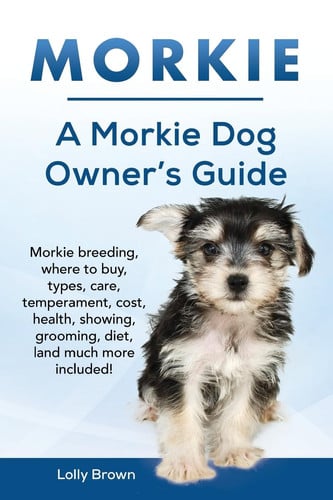 Morkie: Morkie breeding, where to buy, types, care, temperament, cost, health, showing, grooming, diet, and much more included! A Morkie Dog Owner’s Guide