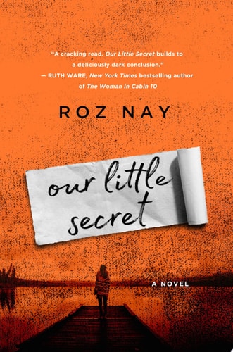 Our Little Secret: A Novel