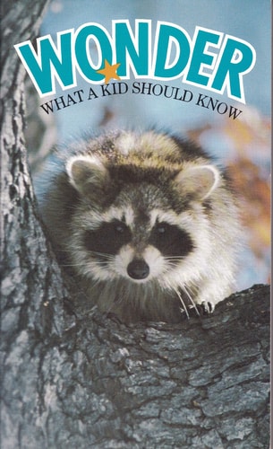 Wonder: What a Kid Should Know : Selections from the Living Bible