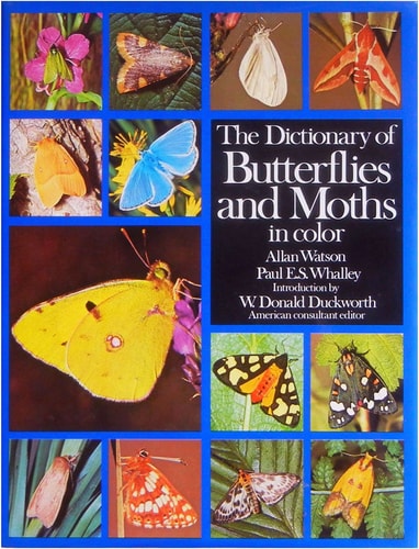 The Dictionary of Butterflies and Moths in Color