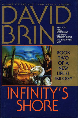 Infinity's Shore