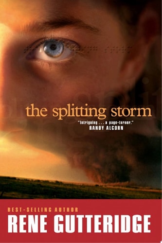 The Splitting Storm (The Storm Series #1)