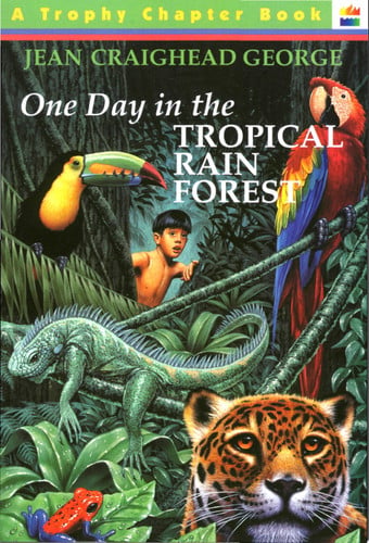 One Day in the Tropical Rain Forest