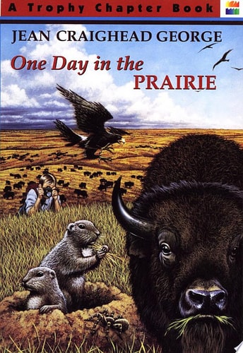 One Day in the Prairie (Trophy Chapter Book)
