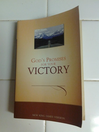 [(God's Promises for Your Every Need)] [By (author) Jack Countryman ] published on (September, 2006)