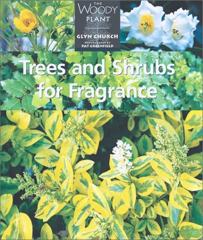 Trees and Shrubs for Fragrance (The Woody Plant)