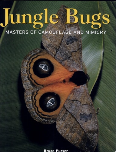 Jungle Bugs: Masters of Camouflage and Mimicry