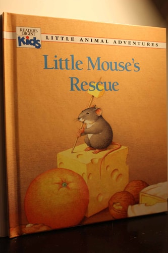 Little Mouse's rescue (Little animal adventures)