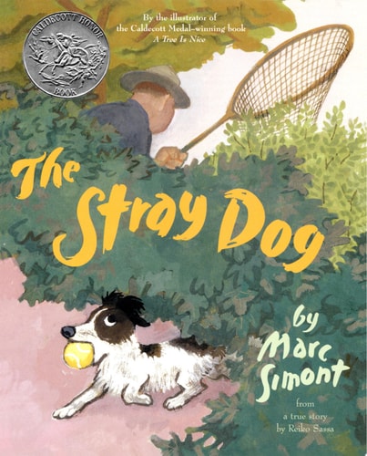 The Stray Dog: A Caldecott Honor Award Winner