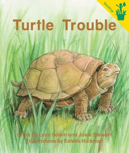 Early Reader: Turtle Trouble