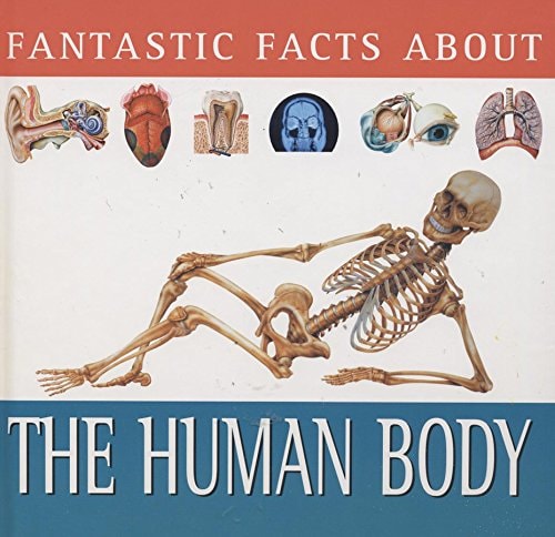 Fantastic facts about the human body