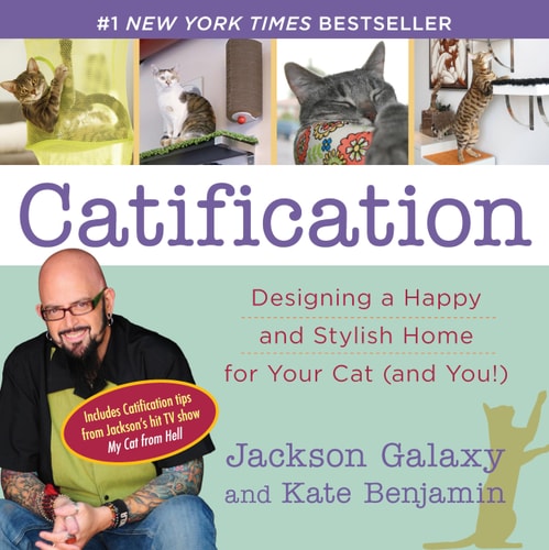 Catification Designing a Happy and Stylish Home for Your Cat (and You!)