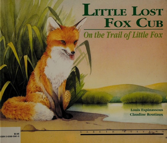 Little Lost Fox Cub: The Cub's Adventure on the Trail of Little Fox