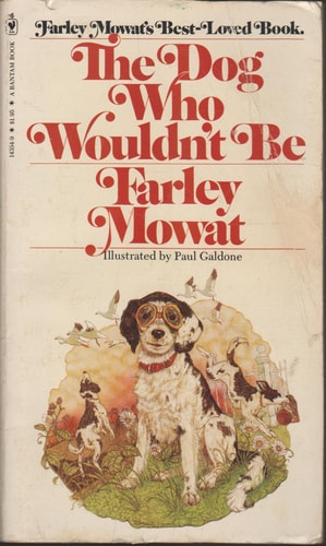 The Dog Who Wouldn't Be