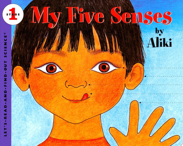 My Five Senses