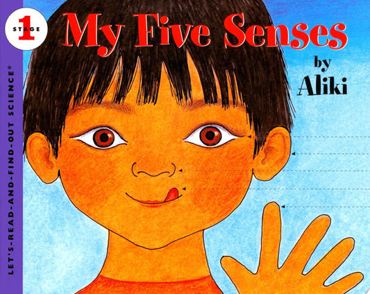My Five Senses