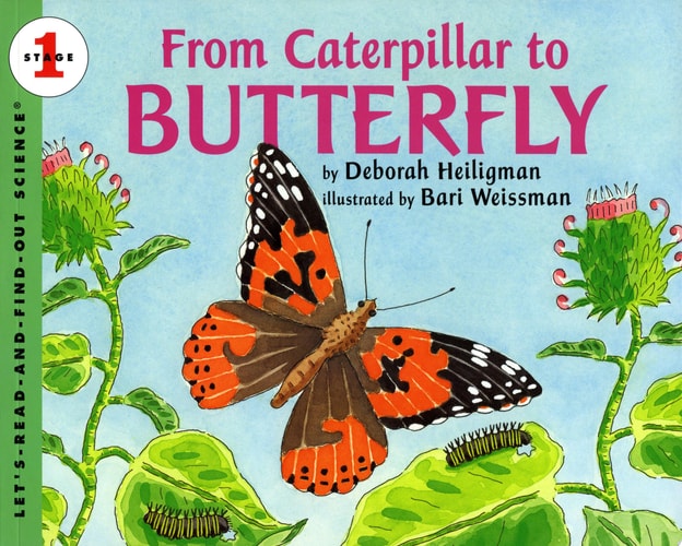 From Caterpillar to Butterfly