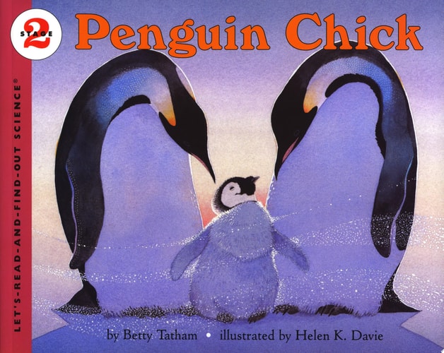 Penguin Chick