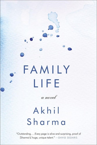 Family Life: A Novel