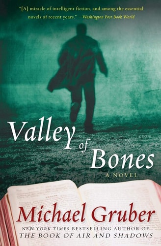 Valley of Bones: A Novel (Jimmy Paz, 2)
