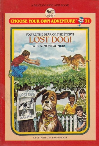Lost Dog! (Skylark Choose Your Own Adventure)
