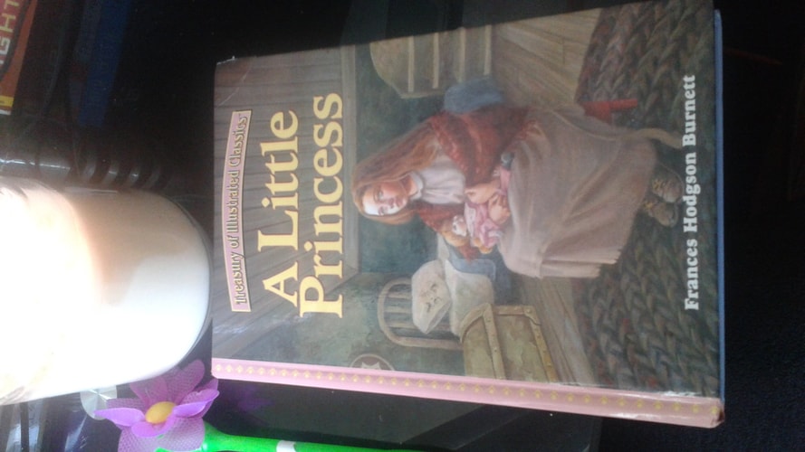 A Little Princess (Treasury of Illustrated Classics)