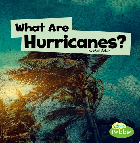 What Are Hurricanes? (Wicked Weather)