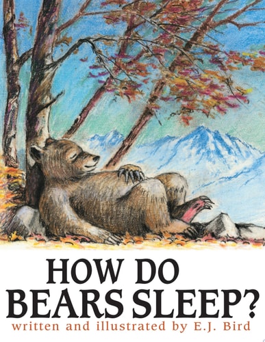 How Do Bears Sleep? (Carolrhoda Picture Books)