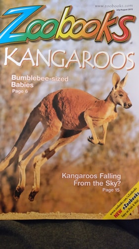 Kangaroos (Zoobooks Series)