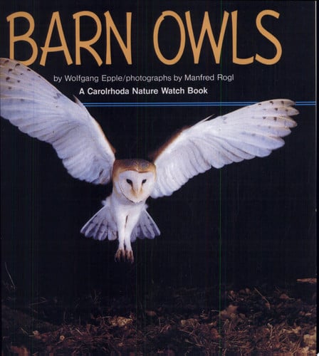 Barn Owls (Nature Watch)
