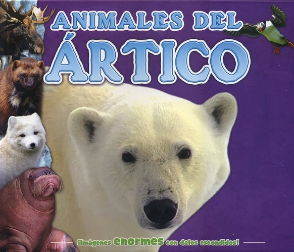 DATOS ESCONDIDOS: ANIMALES DEL ARTICO