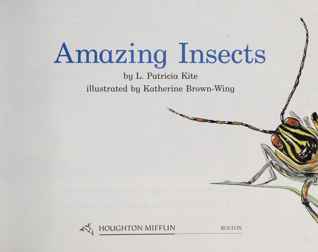 Houghton Mifflin Early Success: Amazing Insects