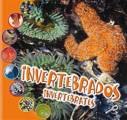 Invertebrados: Invertebrates (Que Es Un Animal? Biblioteca Del Descubrimiento/what Is an Animal? Discovery Library) (Spanish Edition)