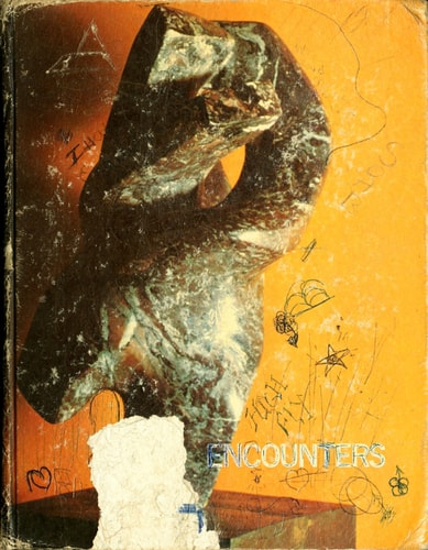 Encounters: themes in literature (Themes and writers series)