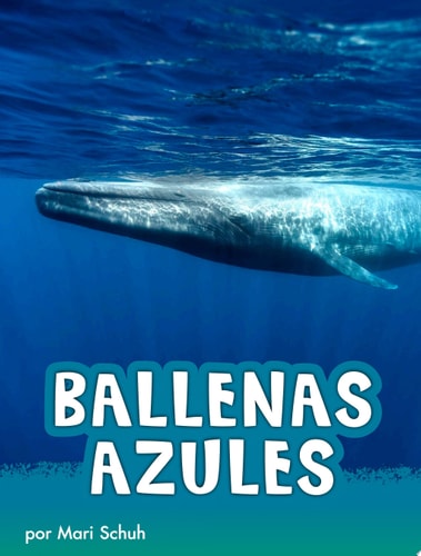 Ballenas azules / Blue Whales (Animals en Espanol) (Spanish Edition)