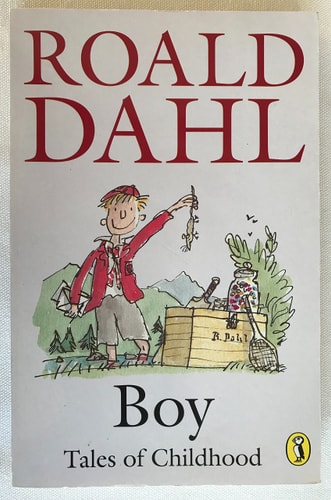 Boy Tales of Childhood