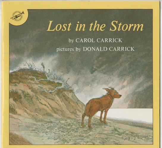 Lost in the Storm