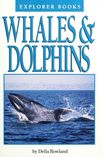 Whales & dolphins (Explorer books)